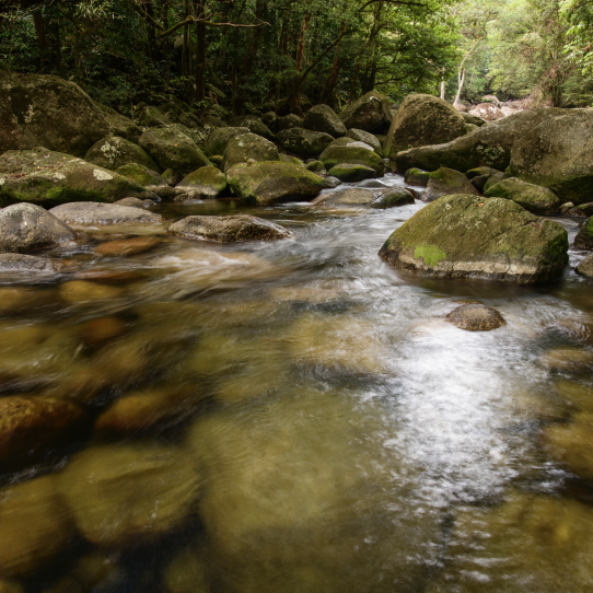 Beautiful MGCC waterways.png